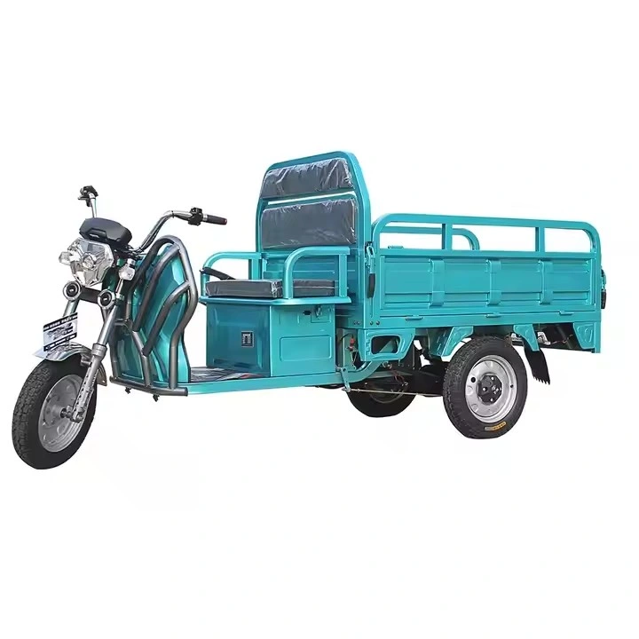 Low Price 2 Seat 3000W Hub Motor Heavy Load 3 Wheel Delivery EV Motorcycle Cargo Powerful Adult Rechargeable Electric Tricycle