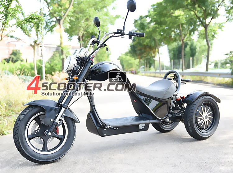 EEC High Quality 4000W 3 Wheels Electric Scooter Trike