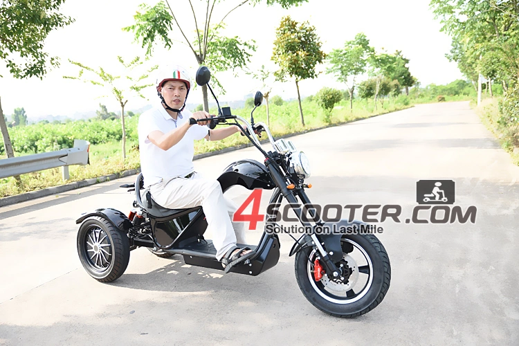 EEC High Quality 4000W 3 Wheels Electric Scooter Trike