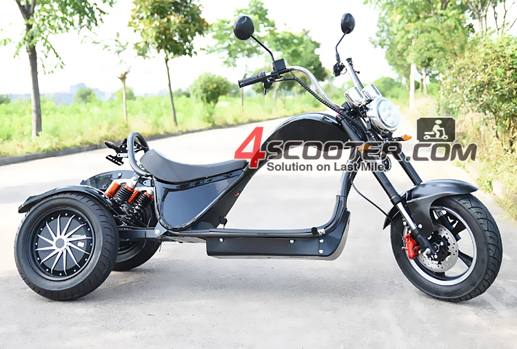 EEC High Quality 4000W 3 Wheels Electric Scooter Trike