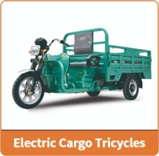Electric Tricycles Adultos Three Wheel Triciclo Electrico Cargo Trike for Sale