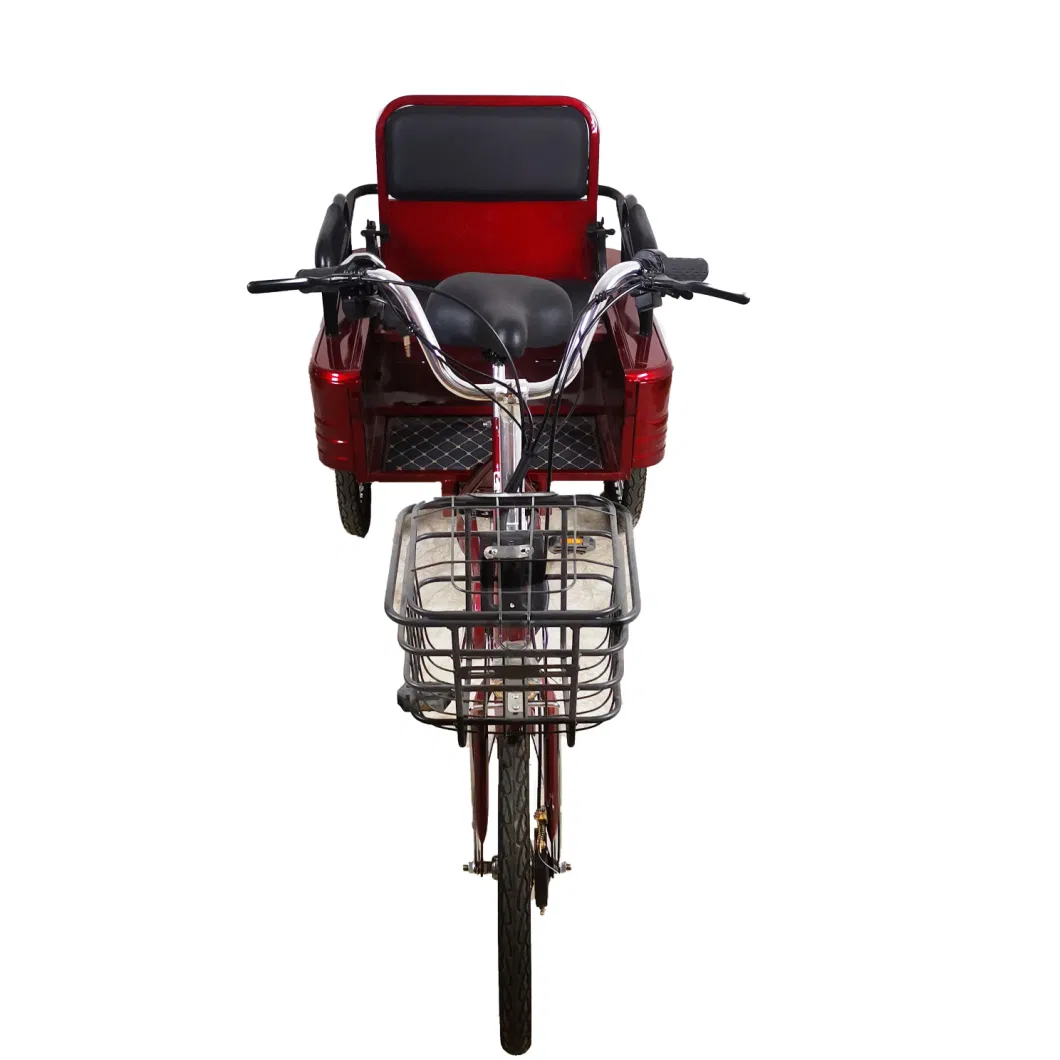 Customized Manufacturer 3 Wheel Bikes for Adults