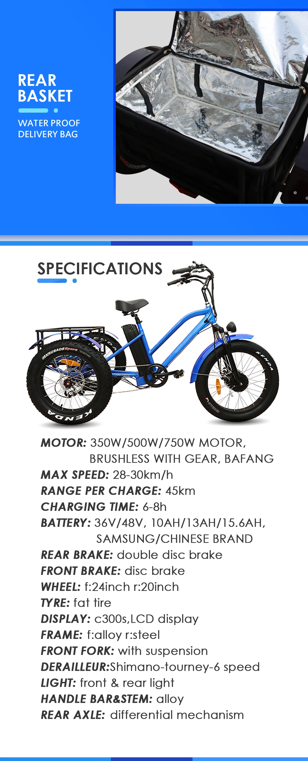 3 Wheels Electric Catgo Bike /Tricycle /Trike with Disc Brakes