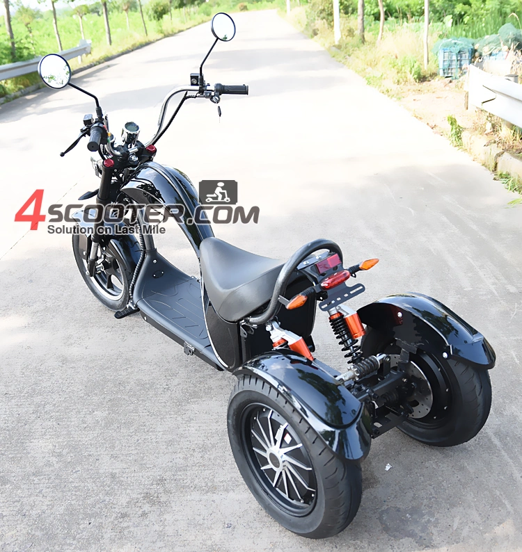 EEC High Quality 4000W 3 Wheels Electric Scooter Trike