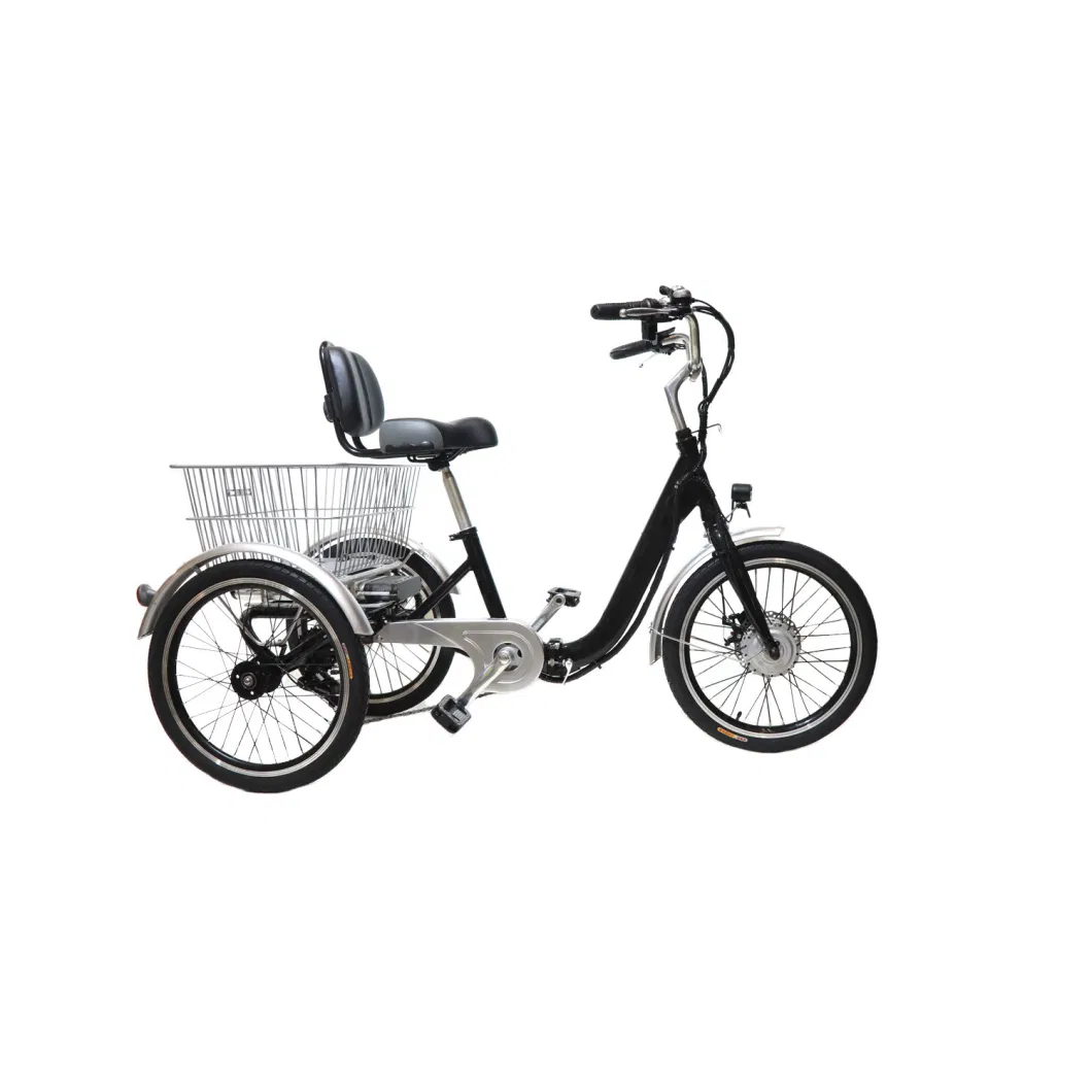 2021 New 24 Inch Electric Tricycle From China for Sale