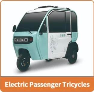 Electric Tricycles Adultos Three Wheel Triciclo Electrico Cargo Trike for Sale