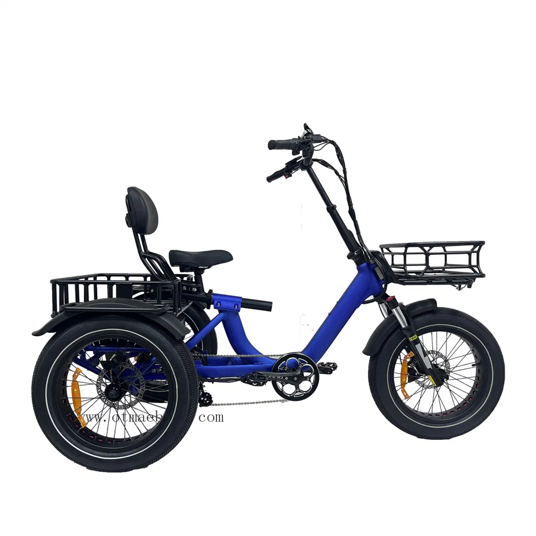 New Model Cargo 3 Wheel Electric Bike Big Power 750W Rear Drive Trike Adult Fast Electric Trike