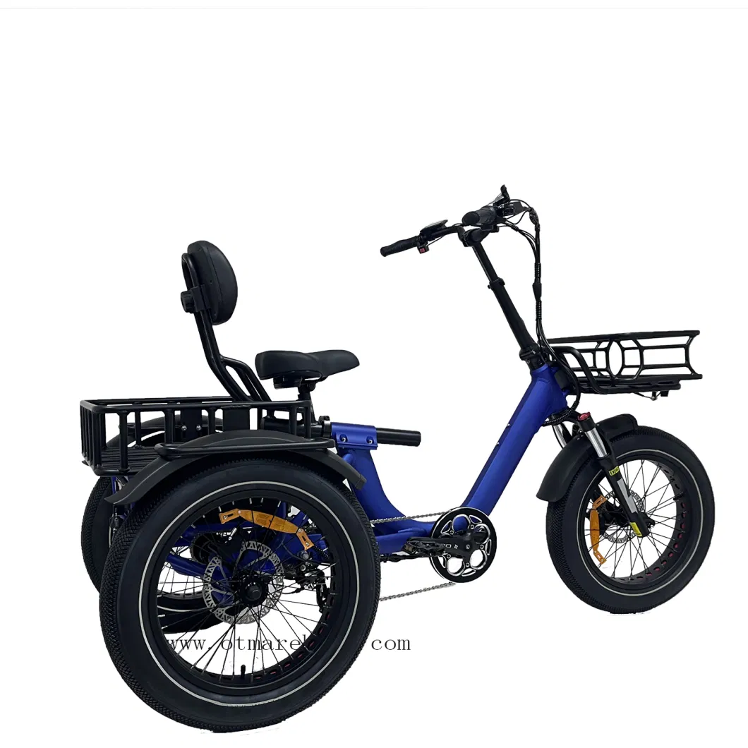 New Model Cargo 3 Wheel Electric Bike Big Power 750W Rear Drive Trike Adult Fast Electric Trike