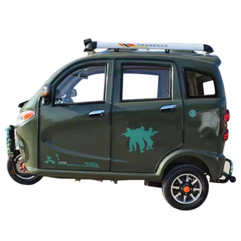 New Adult Closed Electric Passenger, Cargo, Three Wheels, Motor, Petrol, Motorized, Electric Trike, Vehicle, Bicycle