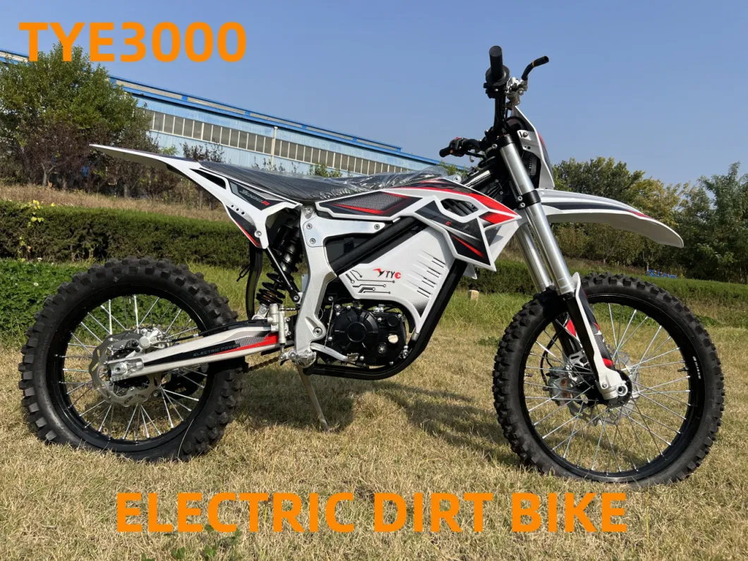 2024 Tye3000 Electric Motorcycle 72V 50ah 12000W Electric Dirt Bike for Adults Moto Electrique Enduro