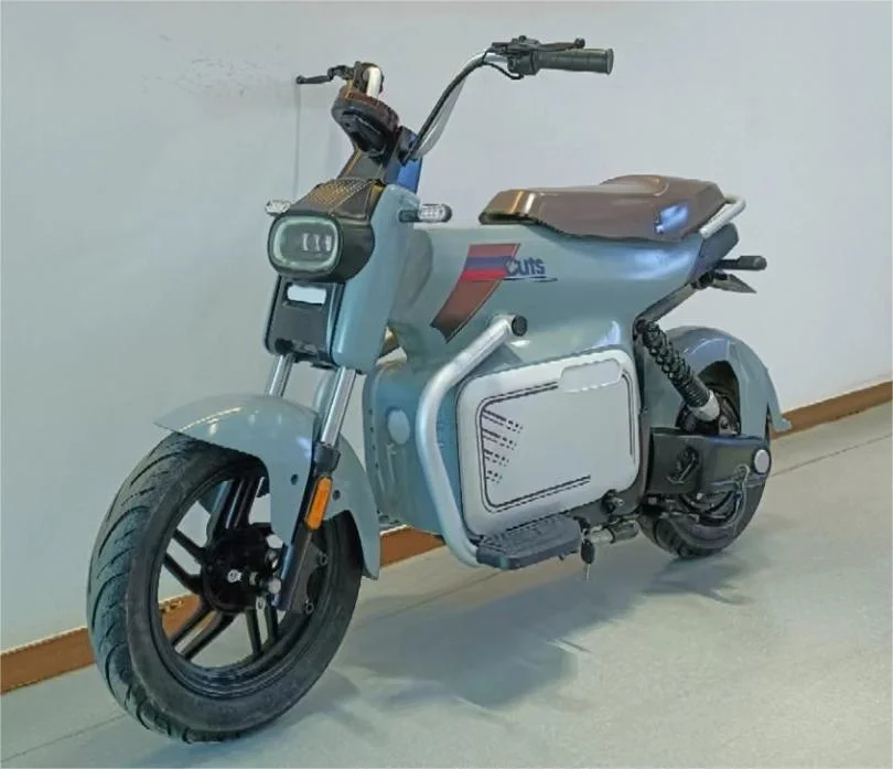 2024 New Adult Electric Power Bike