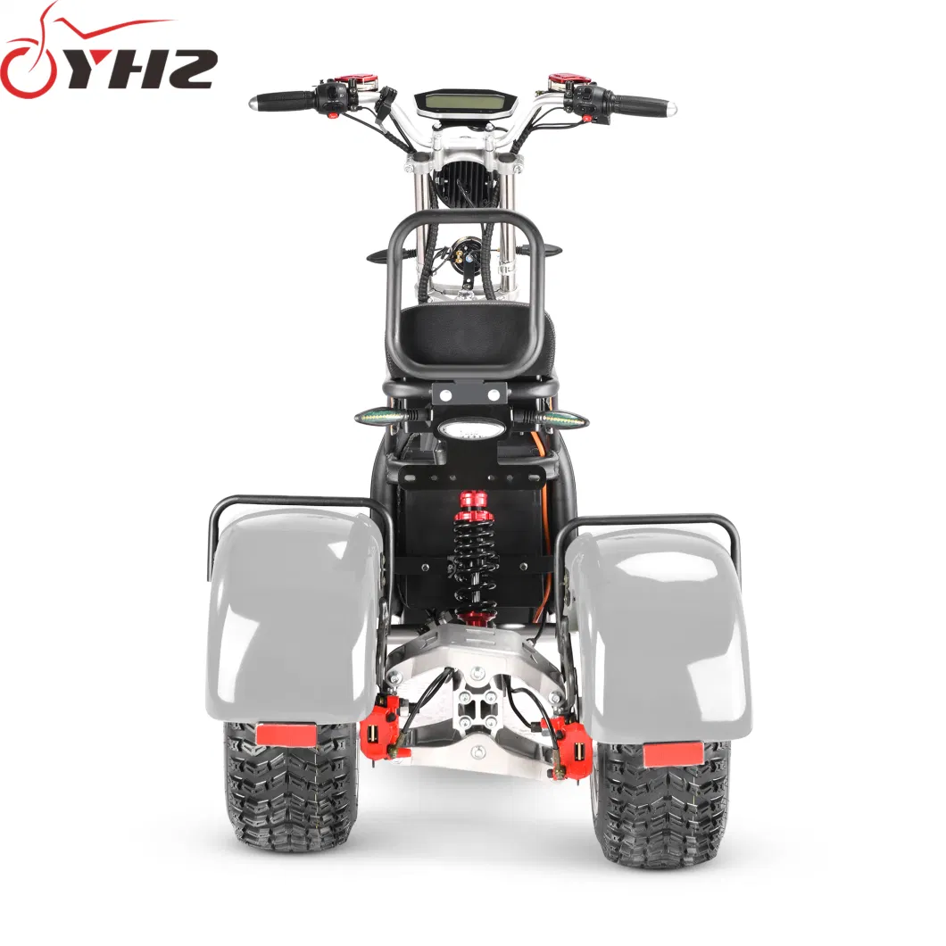 Factory Price Electric Trike Citycoco EEC 4000W 3-Wheel Motorcycle with Two Motor