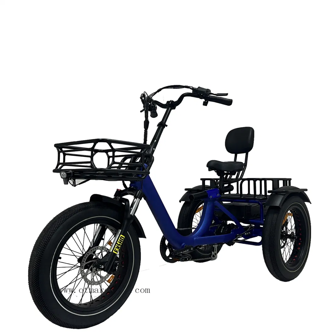 New Model Cargo 3 Wheel Electric Bike Big Power 750W Rear Drive Trike Adult Fast Electric Trike