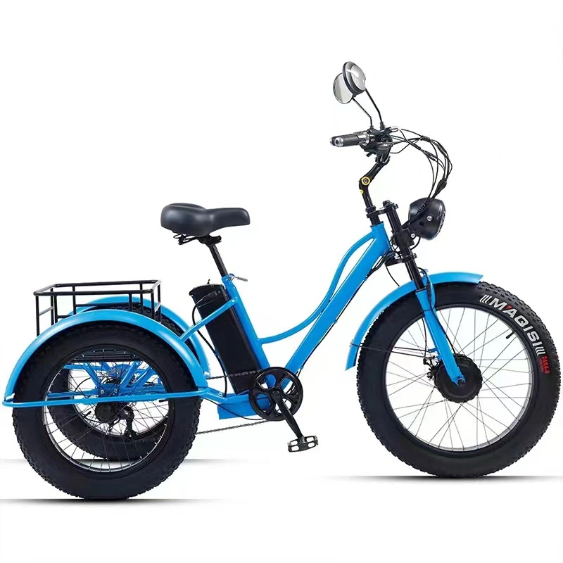 Made in China Practical Three Wheel Electric Bicycle for Seniors Manufacturer and Factory