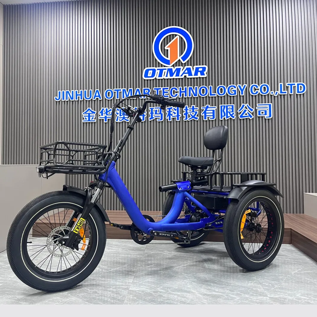 New Model Cargo 3 Wheel Electric Bike Big Power 750W Rear Drive Trike Adult Fast Electric Trike