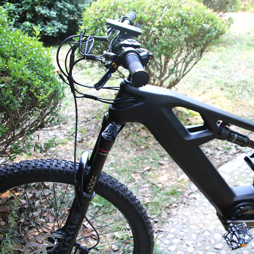 Carbon Fiber MTB Ebike 1000W MID Motor 17.5ah Lio Battery Rockshox Air Fork Shock LCD Display Electric Bike