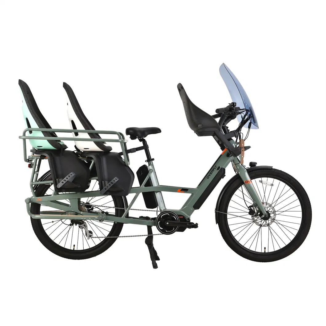 Wagon Ebike Aluminum Alloy Frame Cargo 250W/36V Lithium Battery Electric Cargo Bike