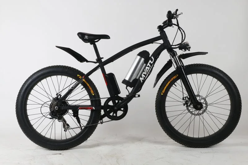 Trike Fat Tire Electric Trike Bike 1000W 52V E-Fatbike