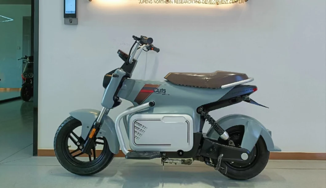 2024 New Adult Electric Power Bike