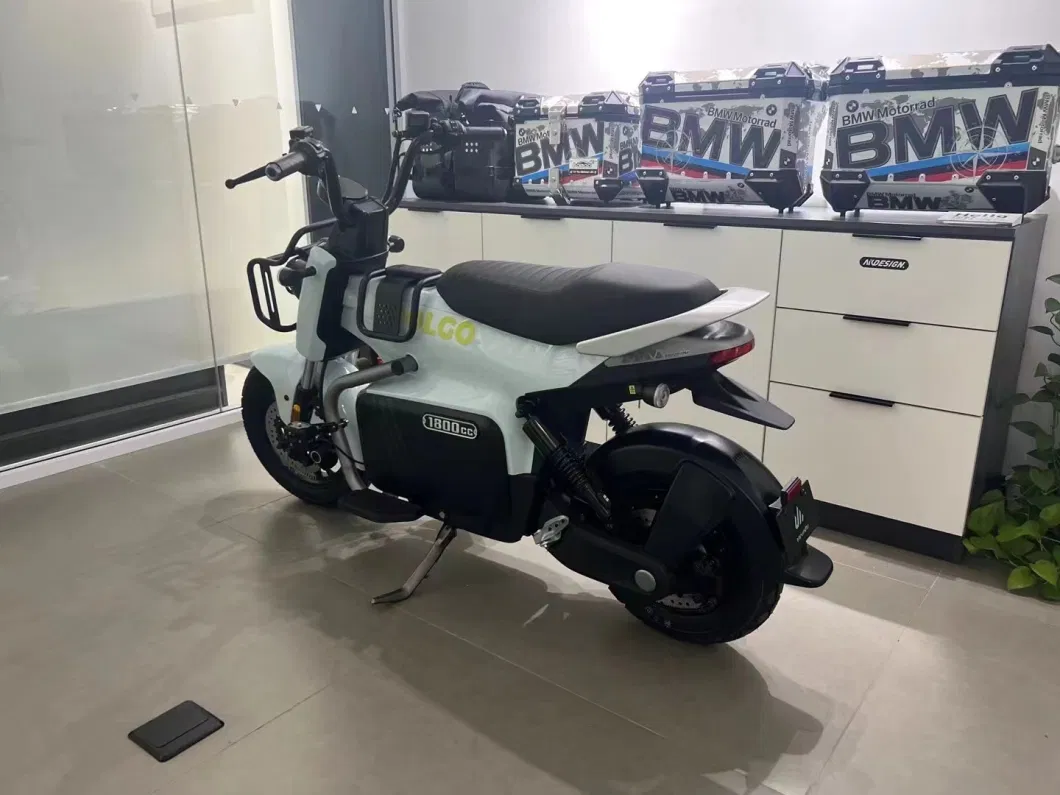 2024 New Adult Electric Power Bike