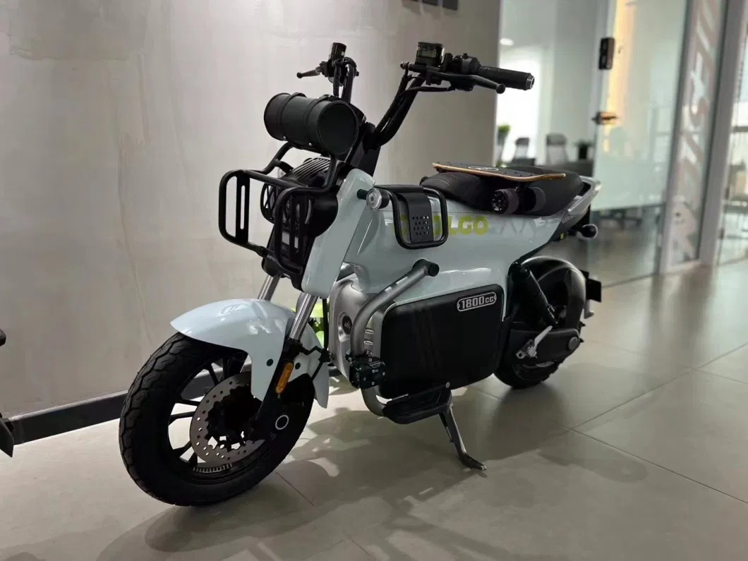 2024 New Adult Electric Power Bike