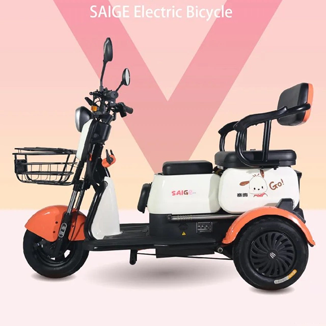 Saige 500W Dual Use of Passenger and Freight Tricycle with Daytime Running Light Anti-Roll Back and Electronic Brake Assist