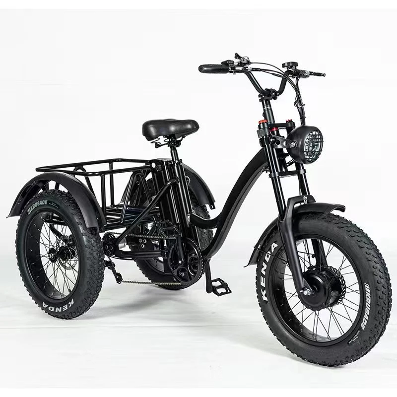 20&quot; E-Tricycle Fat Tire Tyre 48V 500W Front Drive Electric Trike with 48V 10ah Battery Outside Frame Body