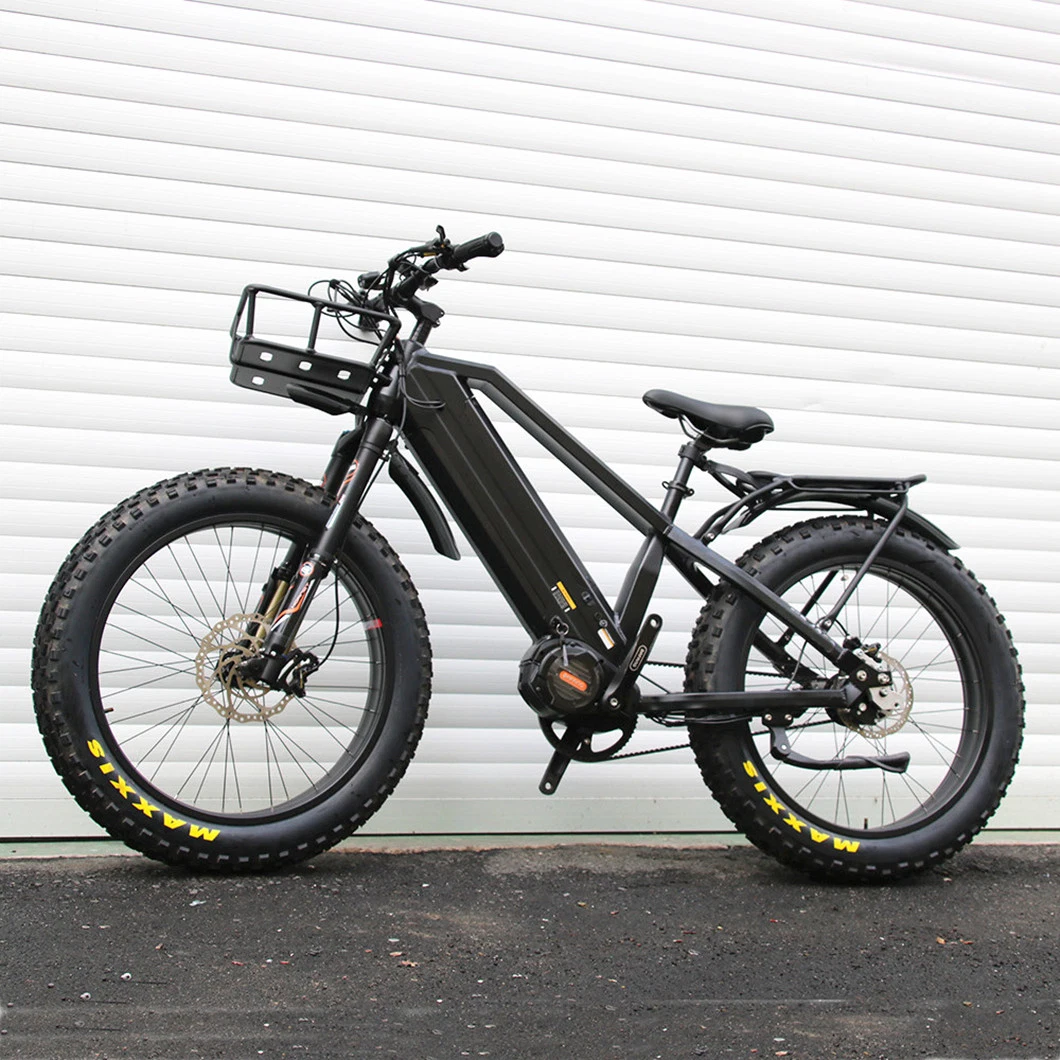 Rohloff 14 Speeds Belt Drive E-Bike 1000W MID Motor Dual Battery Fat Tire off Road Electric Dirt Bike