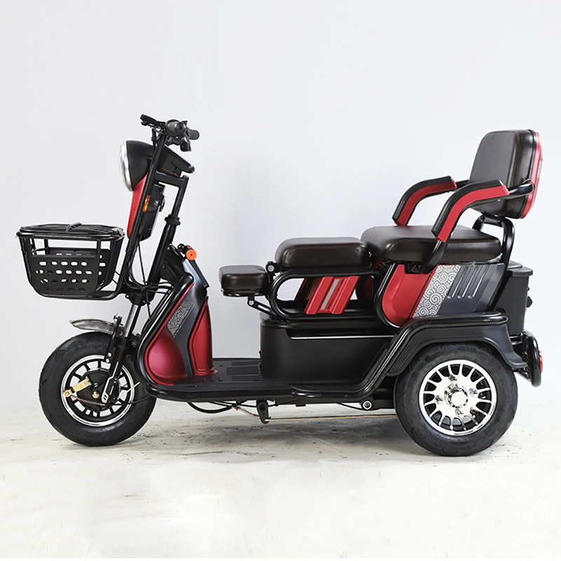 2021 EEC 3 Wheel Passenger Cargo Tricycle Two Seat Electric Scooter Bicycle 48V for Adults and Old People