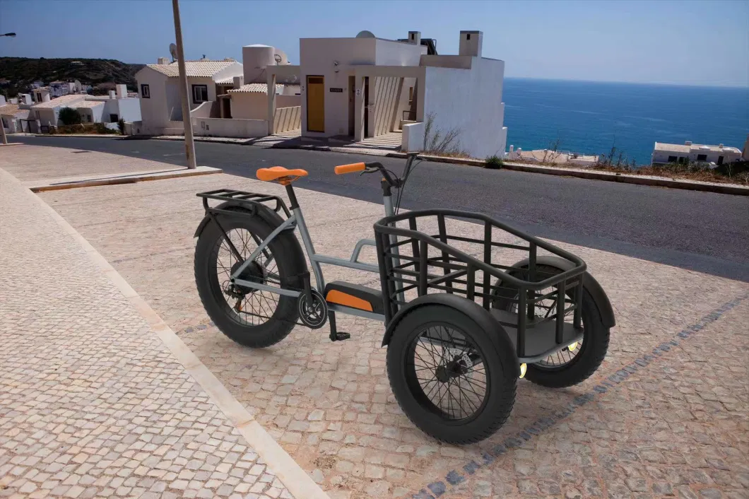 48V250W Fat Tire Electric Cargo Trike