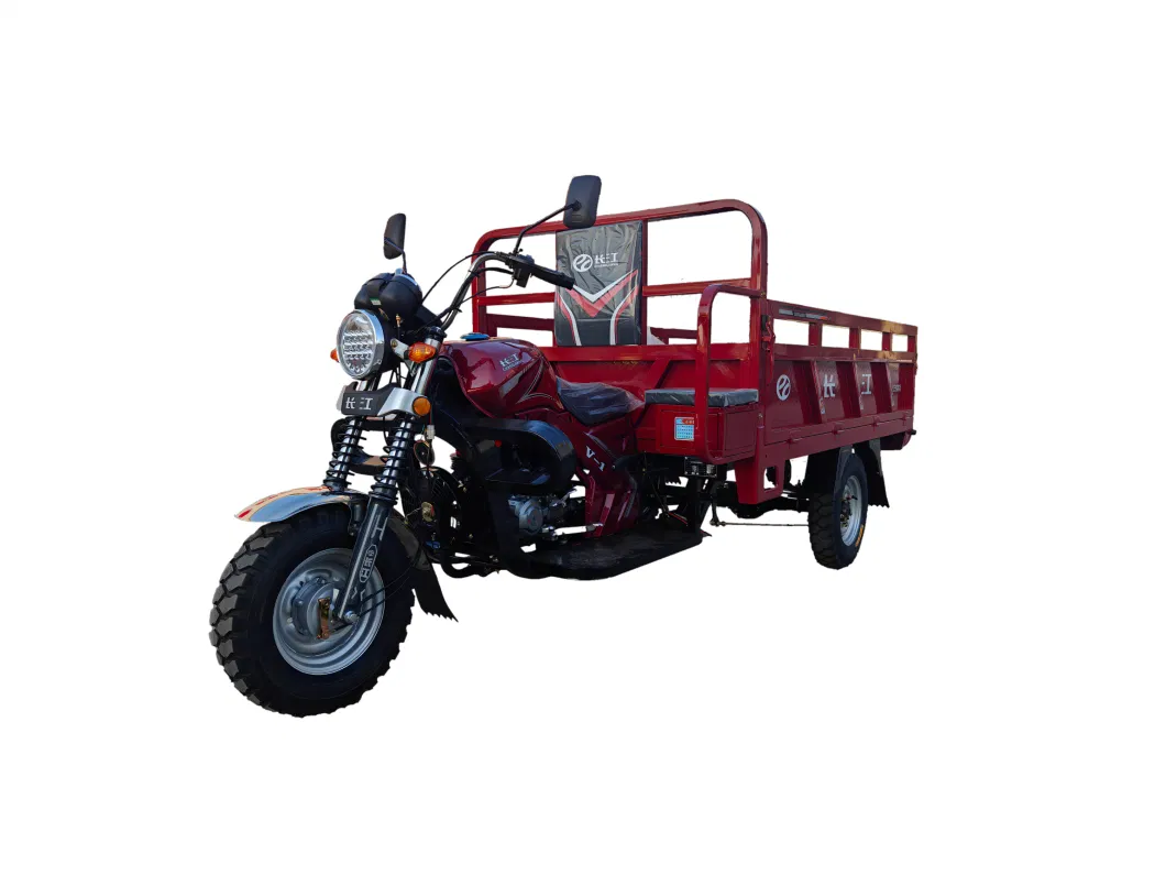 Electric Trike with 200cc Powerful Motor