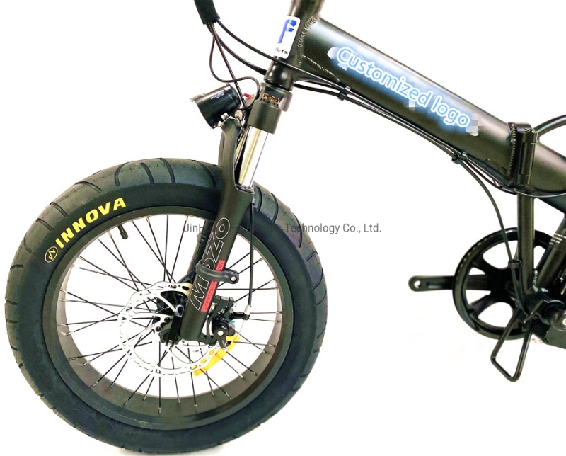 20inch Folding Fat Tire Electric Bike 48V/500W Adult Electric Bicycle Factory China