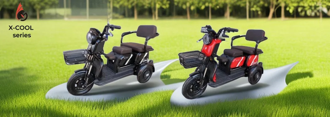 High Quality Adult 3 Wheels Electric Bike 600W Motorized Tricycles 48V 60V Electric Tricycles Electric Trike for Cargo