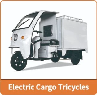Jinpeng Electric Tricycles with Rechargeable Battery for Adults Mexico