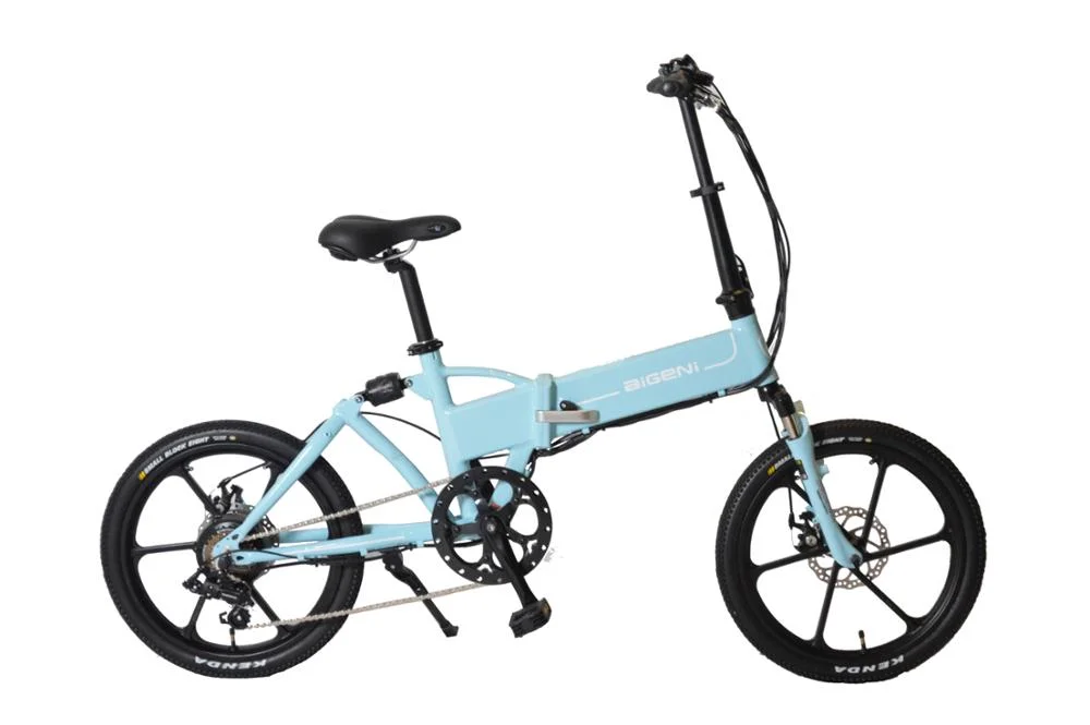 Down Hill Mountain Bike for Hot Sale Electric Bicycle/ 48V 350W