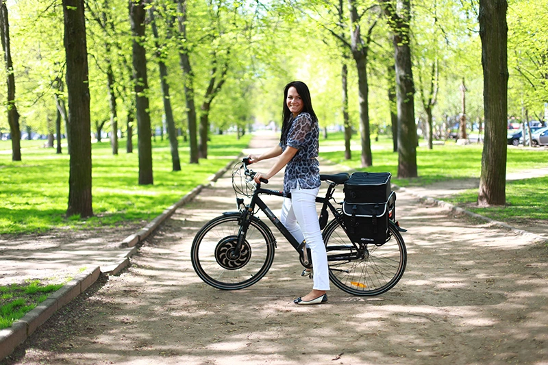 Water proof and programmable MP5 electric bike motor with APP