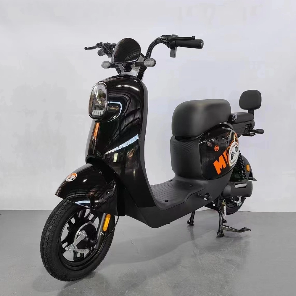 2 Wheels Electric Motorbike E-Bike Electrical Bicycle Adult Electric Bike