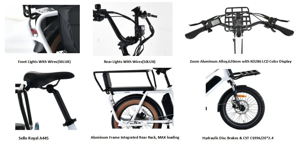 UTI 48V 500W Hub Motor Compact E-Cargo Bike 20&prime;&prime; Multifunctional Electric Bicycle