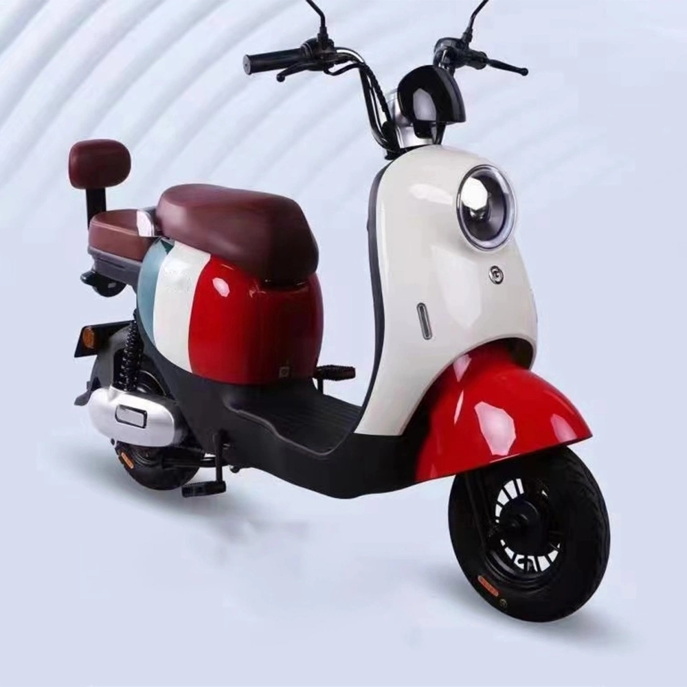 2 Wheels Electric Motorbike E-Bike Electrical Bicycle Adult Electric Bike