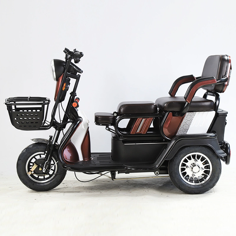 2021 EEC 3 Wheel Passenger Cargo Tricycle Two Seat Electric Scooter Bicycle 48V for Adults and Old People