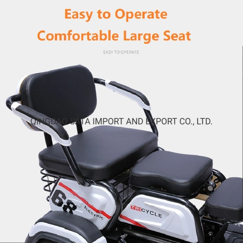 Adult Folding Electric Tricycle with Child Seat and Elderly Leisure Electric Tricycle