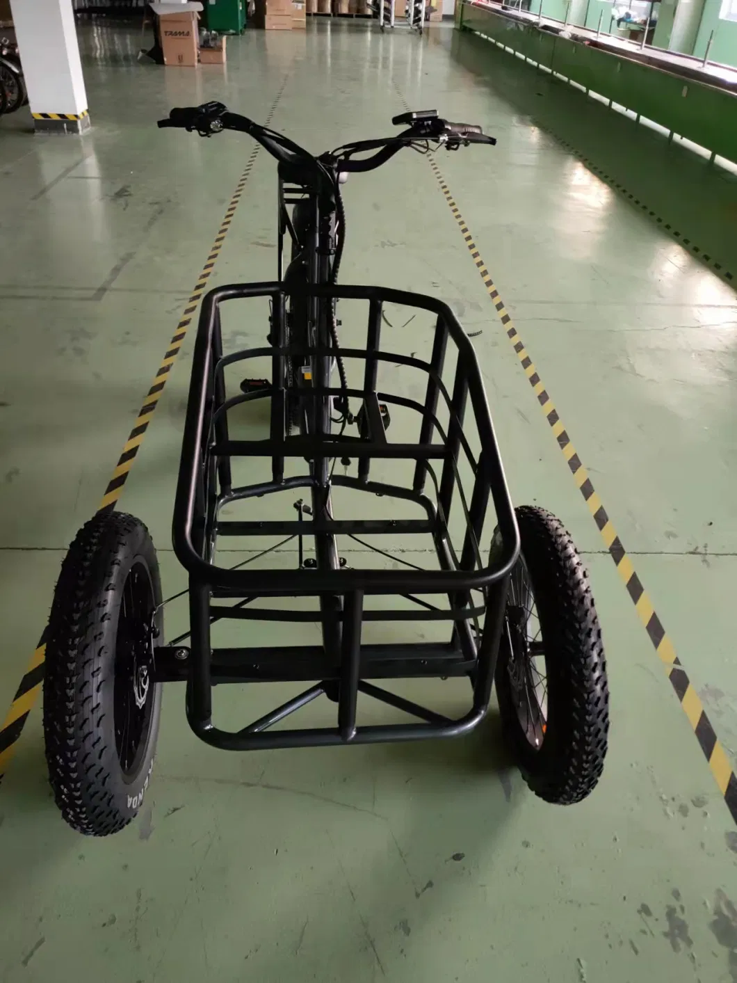 48V750W Lithium Battery Powered Electric Tricycle
