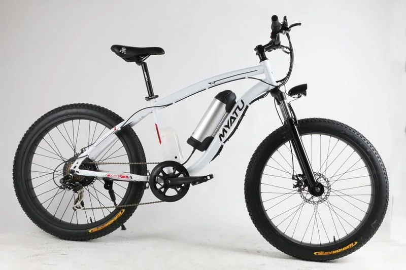 Trike Fat Tire Electric Trike Bike 1000W 52V E-Fatbike