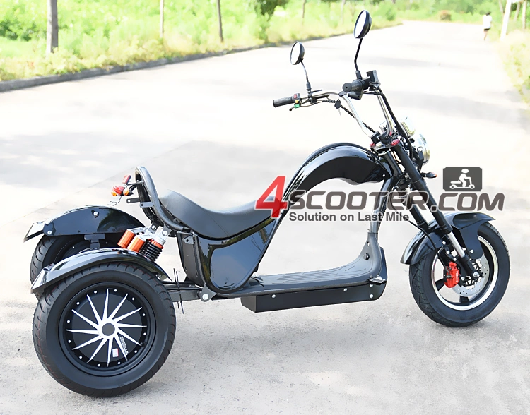 EEC High Quality 4000W 3 Wheels Electric Scooter Trike