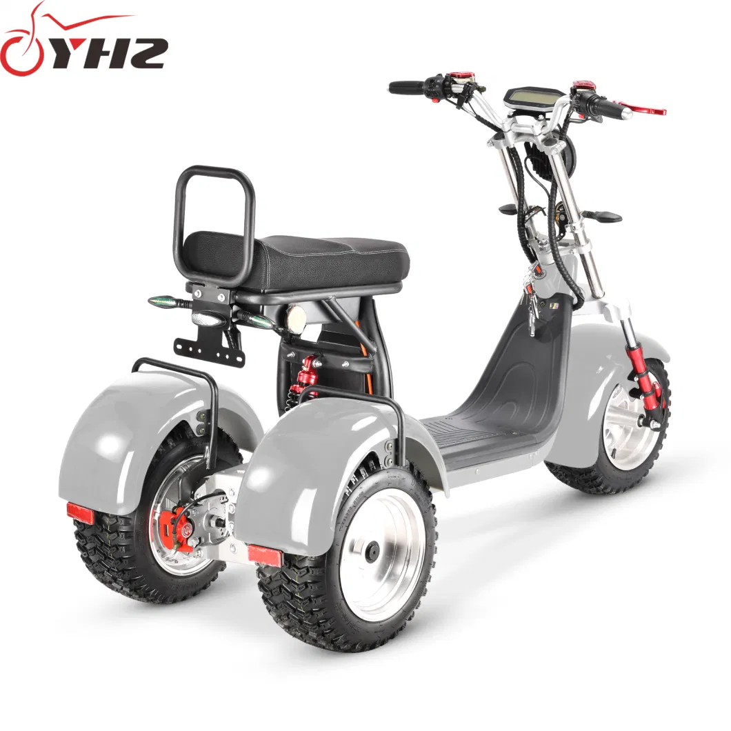 Factory Price Electric Trike Citycoco EEC 4000W 3-Wheel Motorcycle with Two Motor