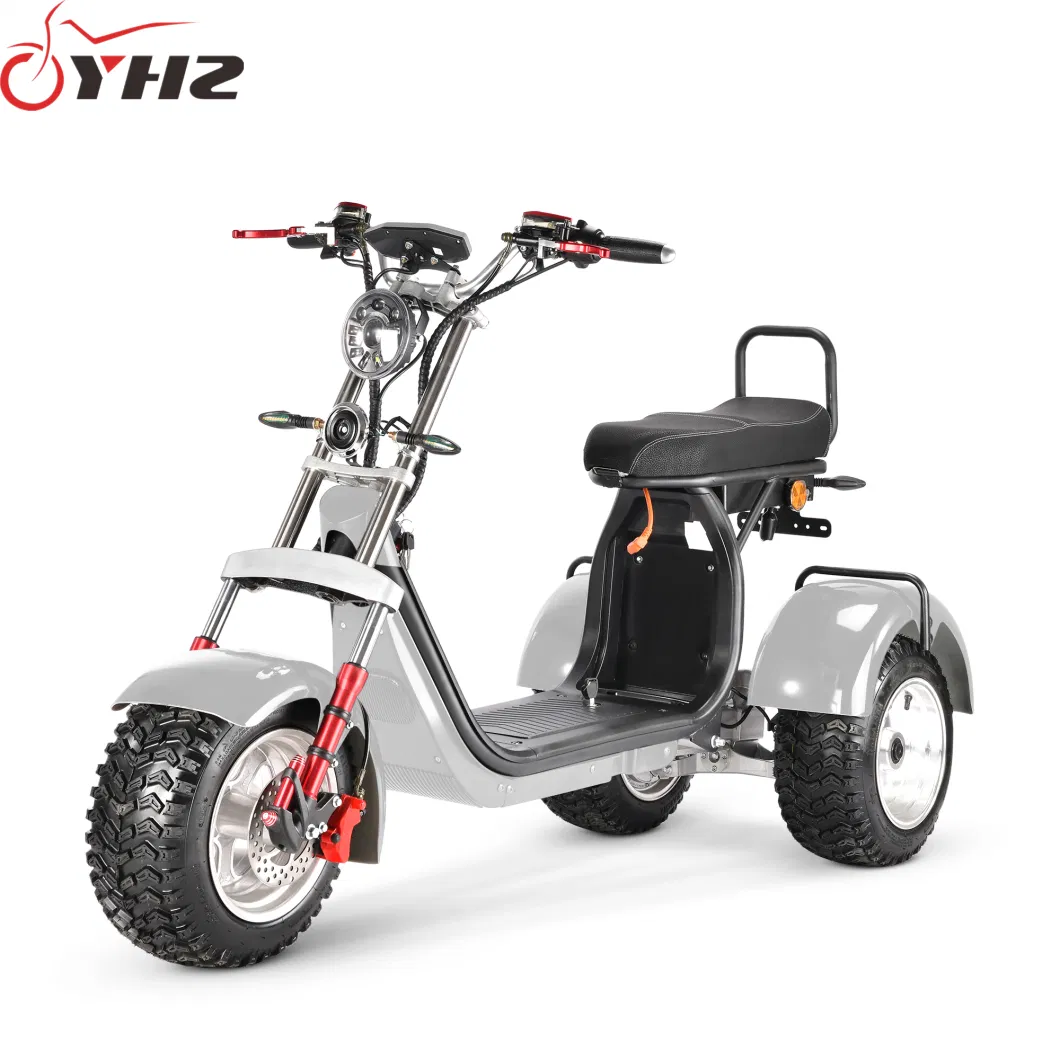 Factory Price Electric Trike Citycoco EEC 4000W 3-Wheel Motorcycle with Two Motor