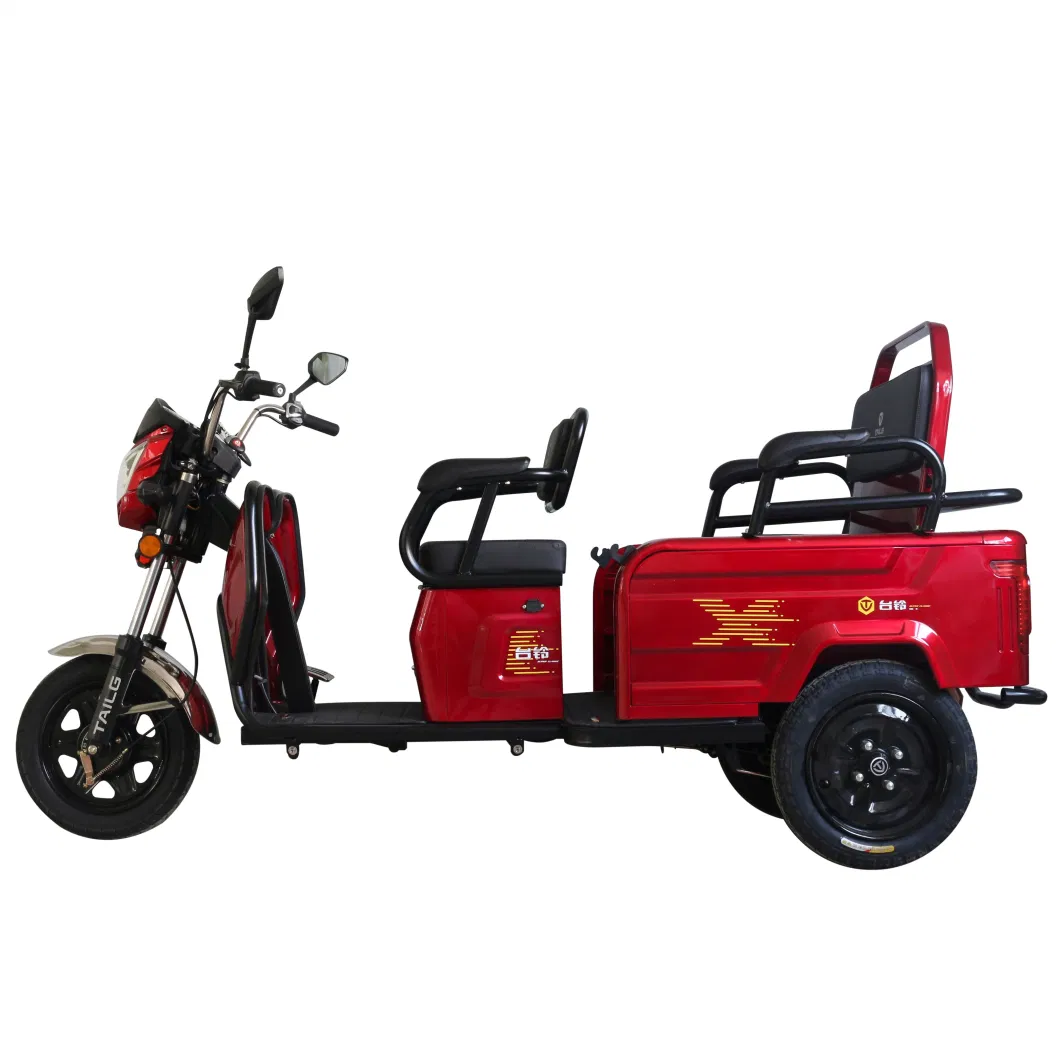 Multipurpose Electric Tricycle with Foldable Rear Seats