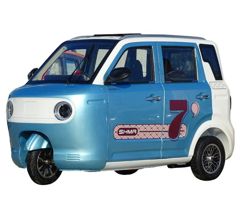 The Newest Electric Tricycle for Cargo No Doors Open Electric Vehicle for 3 Adults with Best Price of China Manufacturer