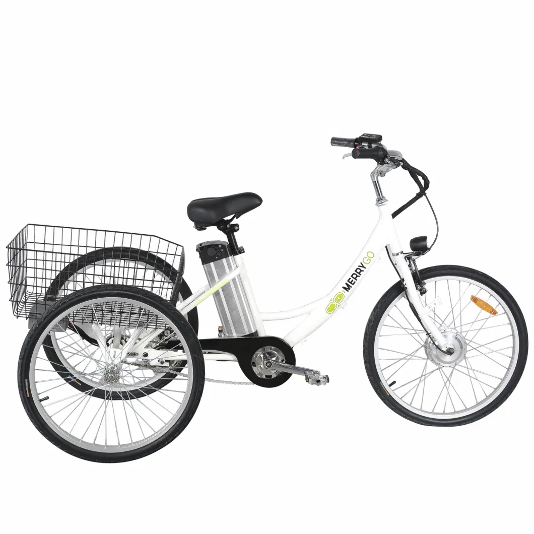 Mini Electric Trike with Front and Rear Basket for Sale