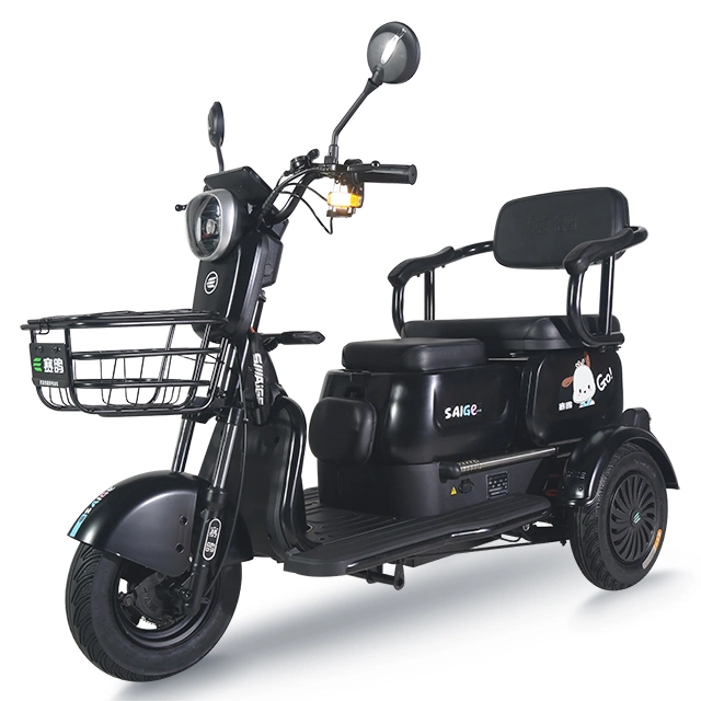 Saige 500W Dual Use of Passenger and Freight Tricycle with Daytime Running Light Anti-Roll Back and Electronic Brake Assist